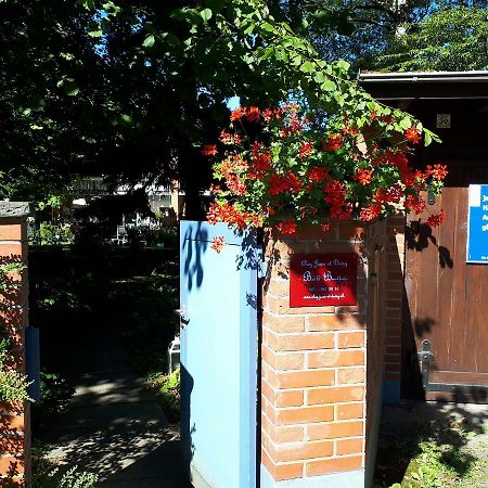 לינה וארוחת בוקר Riehen Chez Jean Et Daisy מראה חיצוני תמונה