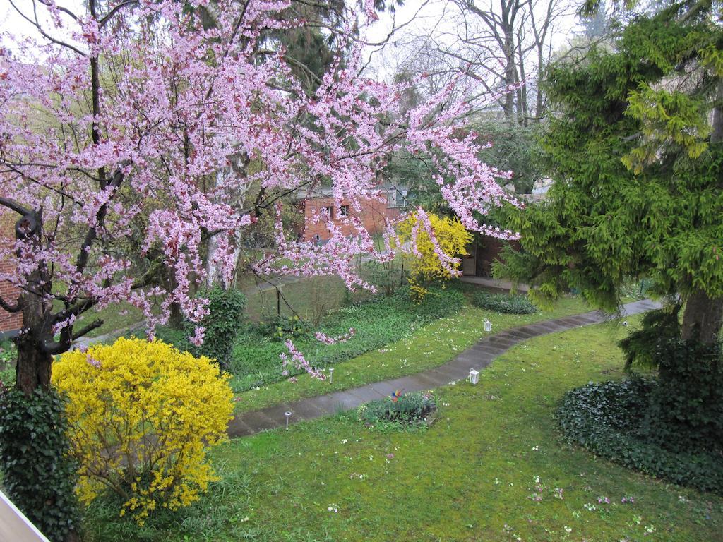 לינה וארוחת בוקר Riehen Chez Jean Et Daisy מראה חיצוני תמונה